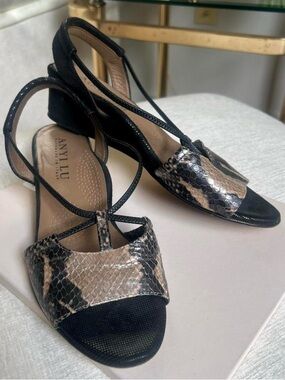 Anyi Lu Black Sandals with Snake-Print Accent